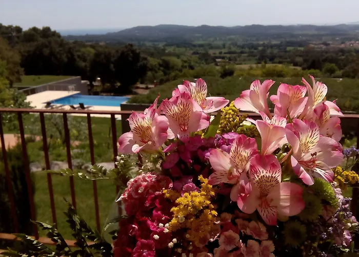 Mas Ses Vinyes - Adults Only 4*