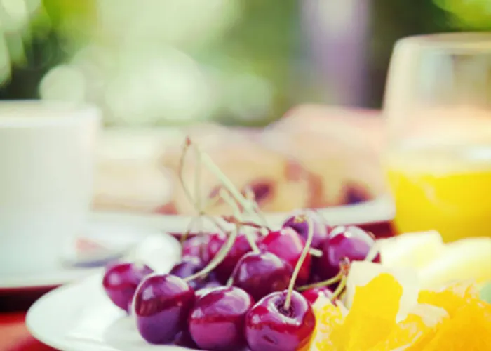Mas Ses Vinyes - Adults Only 4* بيغور
