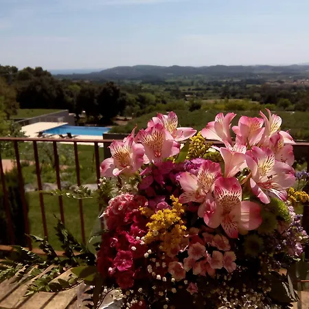 Mas Ses Vinyes - Adults Only 4*