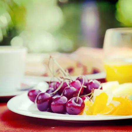 Mas Ses Vinyes - Adults Only 4* Begur